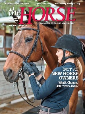 Cover 1