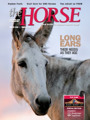 Cover 5